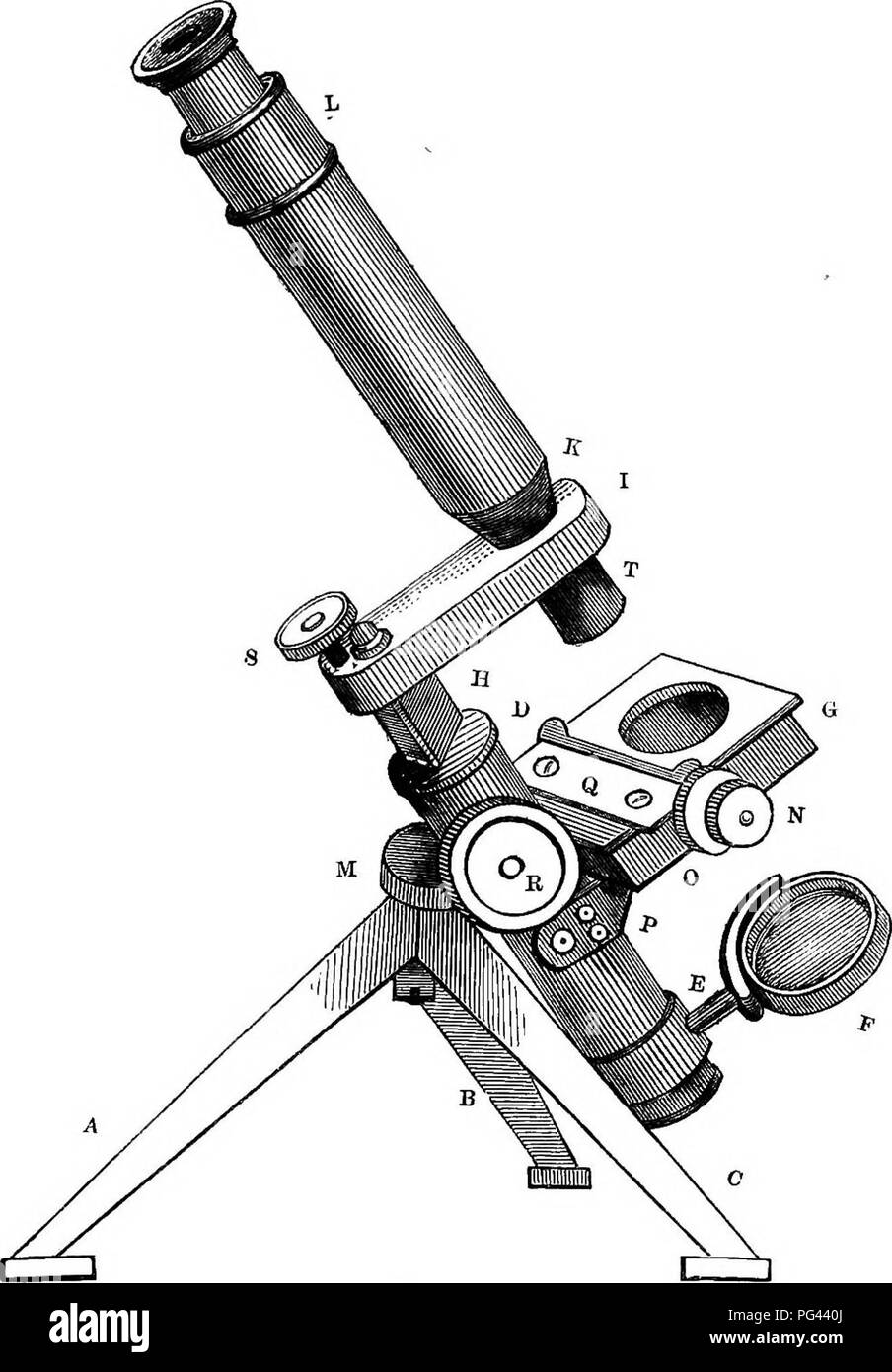 . A practical treatise on the use of the microscope, including the different methods of preparing and examining animal, vegetable, and mineral structures. Microscopes; Microscopy. THE COMPOUND MICROSCOPE. 79 of the instrument is efFected by rack and pinion, by which the triangular bar, H, and with it the arm, I, carrying the com-. Fig. 44. pound body, K L, are moved up or down, the rack being situated at the back of the triangular bar and the pinion con- nected with the large miUed head, E. The fine adjustment is made by turning the screw, S; this acts on the end of a lever contained in the ho Stock Photo