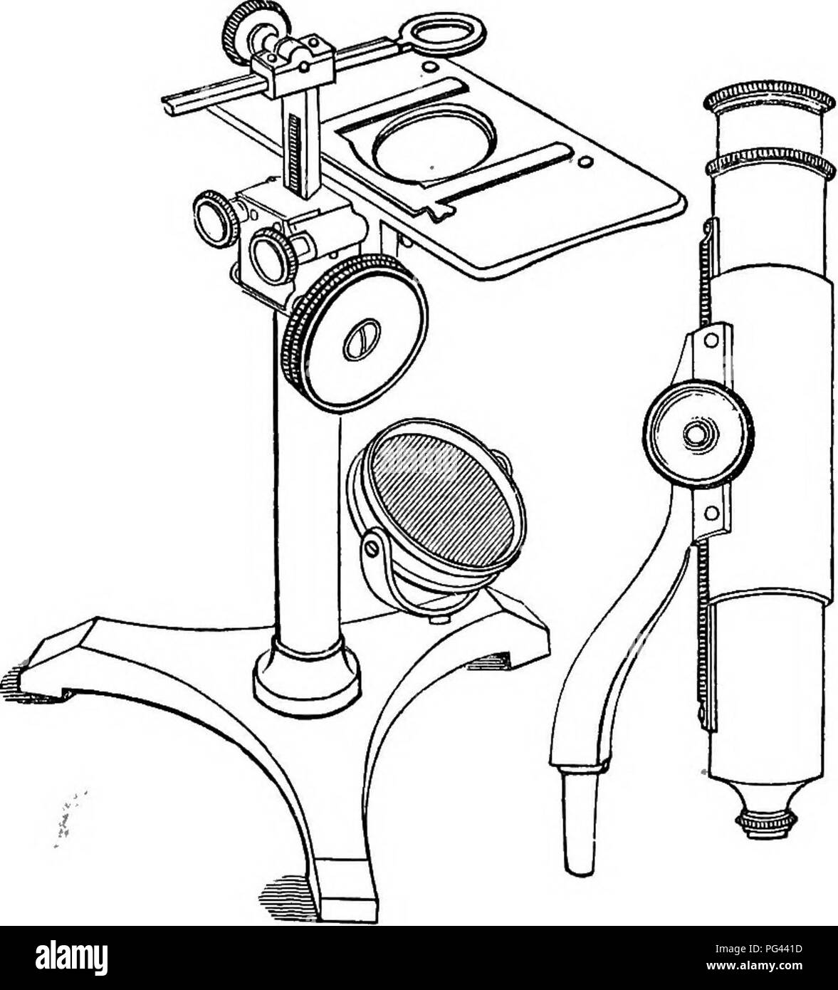 . A practical treatise on the use of the microscope, including the different methods of preparing and examining animal, vegetable, and mineral structures. Microscopes; Microscopy. THE SIMPLE MICEOSCOPE. 59 pillar, about six inches long, screwed into a tripod base; .to the upper part of the pillar is attached, by screws with milled. Fig. 37. heads, a large flat stage, provided with a spring clip, and other apparatus for holding the objects. By means of the large milled head, a triangular bar, having a rack, is raised out of the pillar; this bar carries a lens-holder, having a horizontal movemen Stock Photo