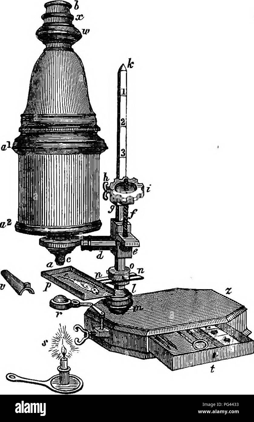 . A practical treatise on the use of the microscope, including the different methods of preparing and examining animal, vegetable, and mineral structures. Microscopes; Microscopy. THE MICROSCOPE. 13 carrying at its free extremity a sliding wire, G, to one end of which was attached a pair of forceps, I I, and to the other a small disc of ivory, H, blackened on one side and white on the other; the arm was capable of being adjusted to or from the lens by means of a screw, C, having a nut with a milled head, D; the spring, E, served to keep the lens holder, A B, in contact with the nut; this form  Stock Photo