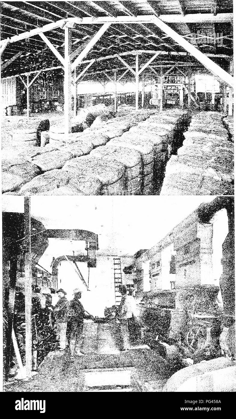 Ixa High Resolution Stock Photography And Images Alamy