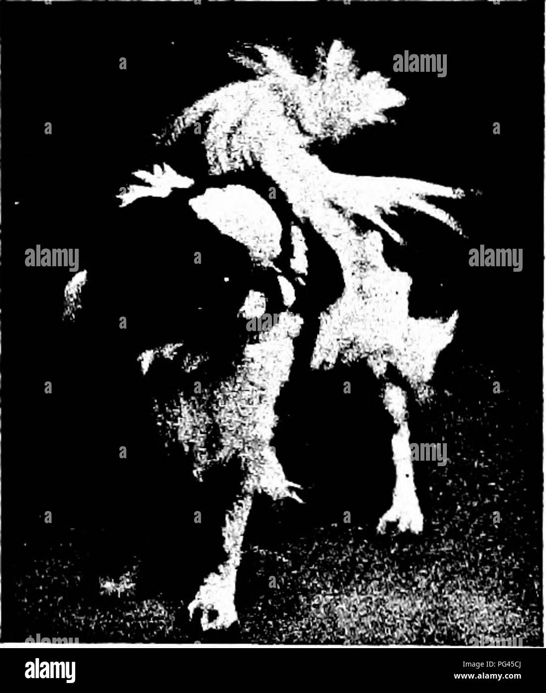 J Oyama An High Resolution Stock Photography And Images Alamy