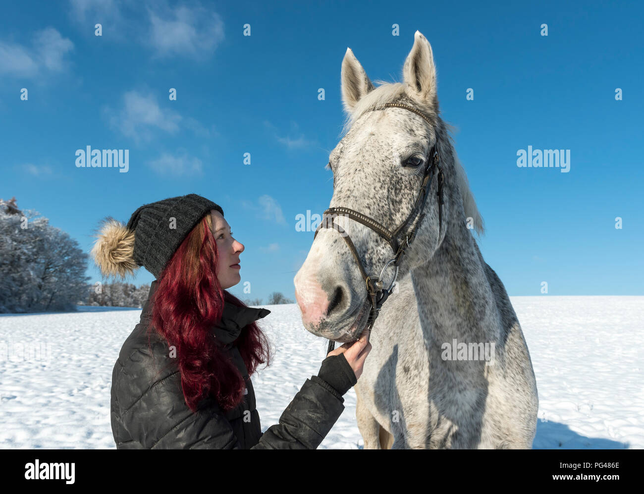 Teenage (14 years) girl with Czech warmblood horse on snow during winter Stock Photo