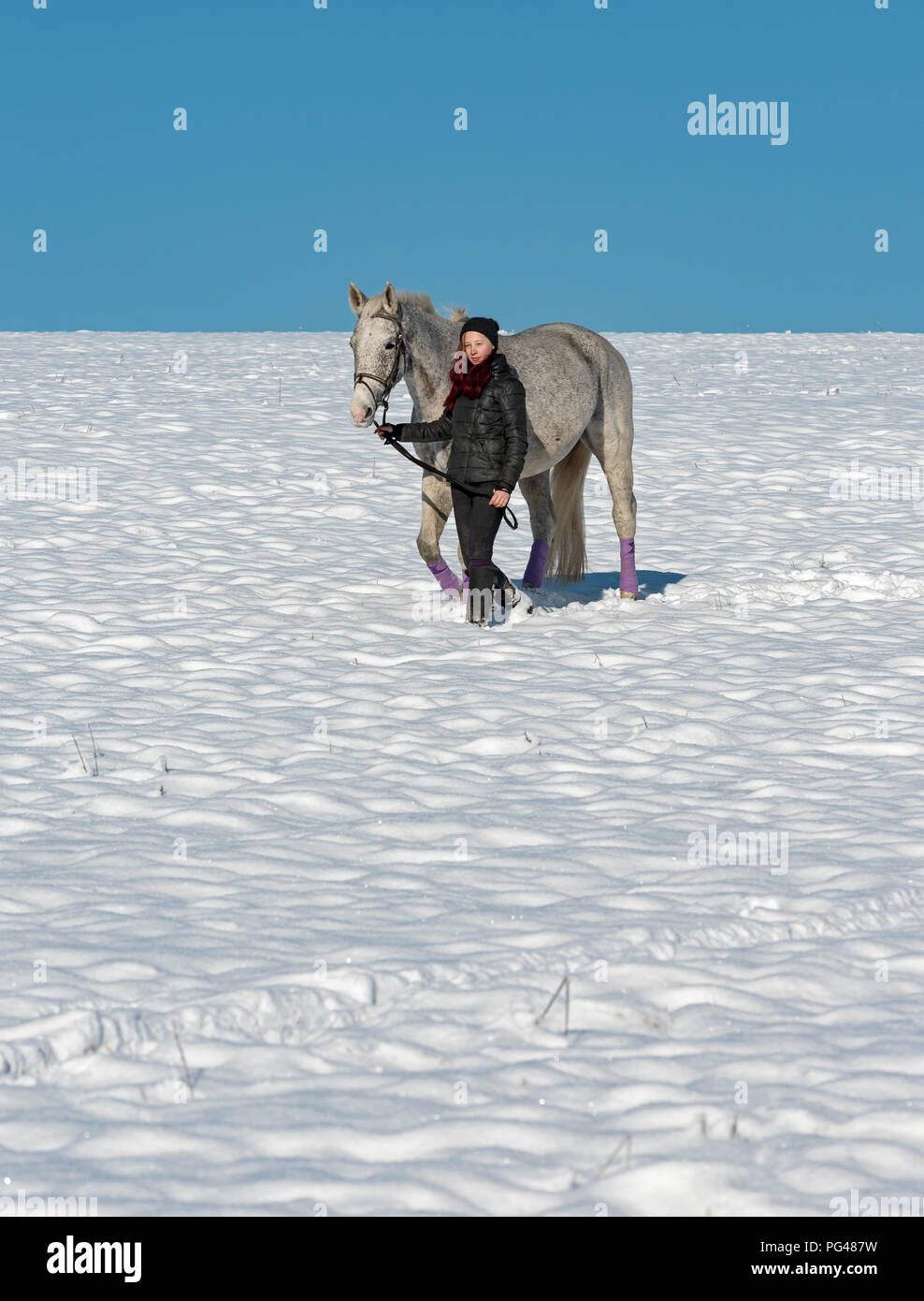Teenage (14 years) girl with Czech warmblood horse on snow during winter Stock Photo