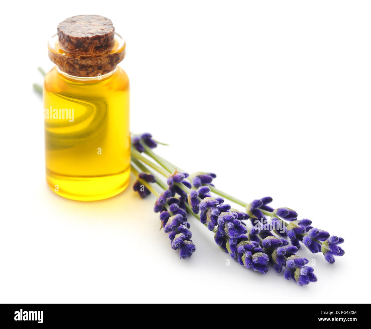 Lavender oil with flower over white background Stock Photo