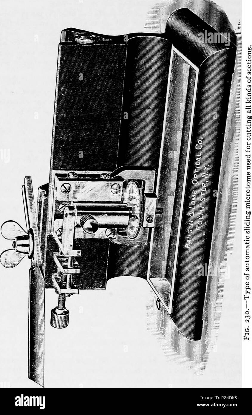 . A text-book of mycology and plant pathology . Plant diseases; Fungi in agriculture; Plant diseases; Fungi. 6S4 LAPORATORY EXERCISES ing microtome (Fig. 230); (3) by the rotary microtome, the material having been imbedded in paraffin. If desirable, the material to be cut on the sliding microtome. can be prepared by the celloidin method. Where the sections to be made are of woody material they can be cut directly on the sliding microtome, and the sections,. Please note that these images are extracted from scanned page images that may have been digitally enhanced for readability - coloration an Stock Photo