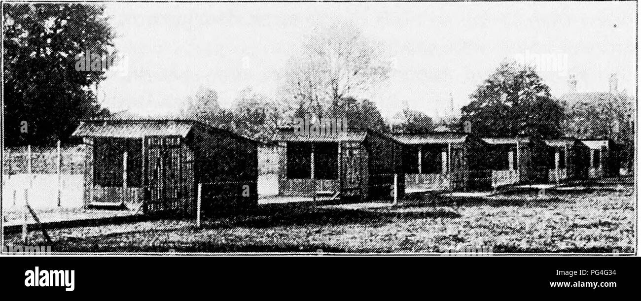 . Principles and practice of poultry culture . Poultry. SYSTEMS OF POULTRY KEEPING 87 Comparison of extensive and intensive systems. The object of comparison of typical extensive and intensive methods and systems is to determine the values and applications of each. As indicated. Fig. 90. Colony houses placed end to the road, with yards running from road (Photograph from E. T. Brown, London, England) in the statement of the present attitude of poultrymen toward the colony system, the best working system will in most cases combine extensive and intensive methods. These methods, while different.  Stock Photo