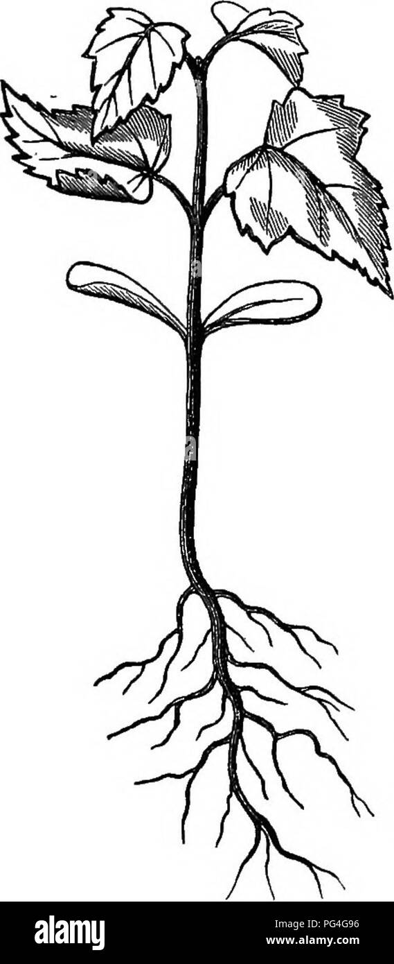 Fully explained Cut Out Stock Images & Pictures Alamy