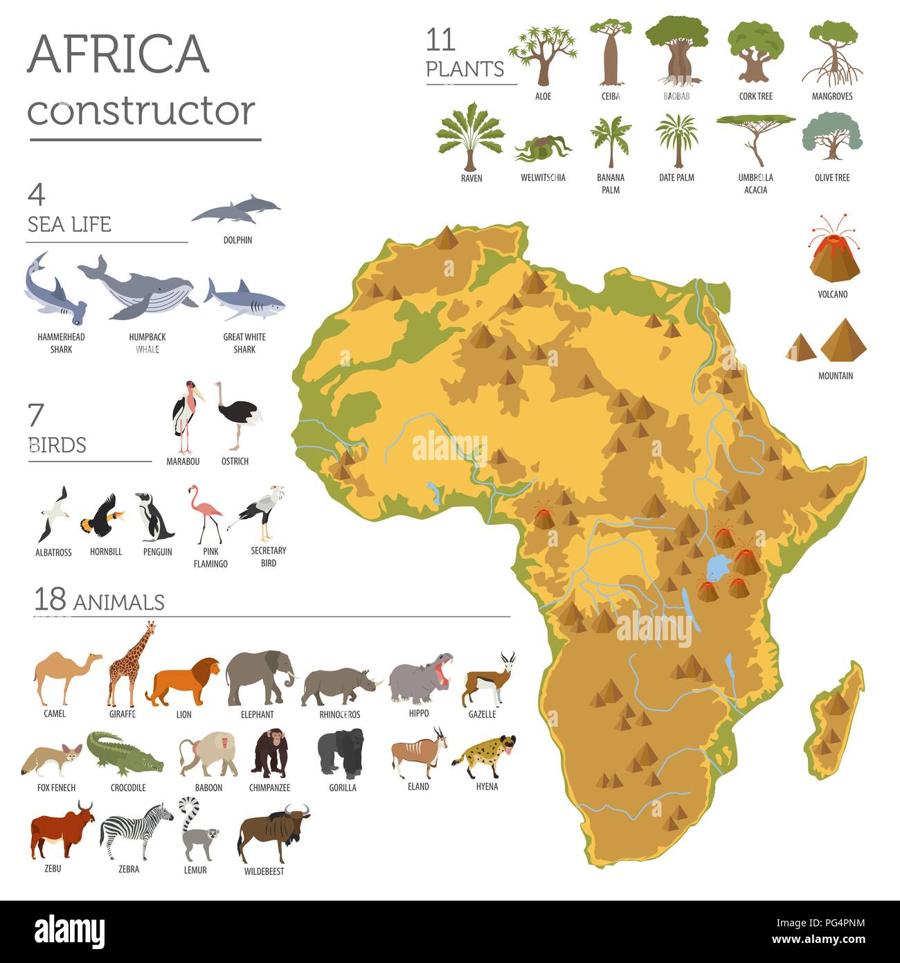Flat Africa flora and fauna map constructor elements. Animals, birds and  sea life isolated on white big set. Build your own geography infographics  col Stock Vector Image & Art - Alamy