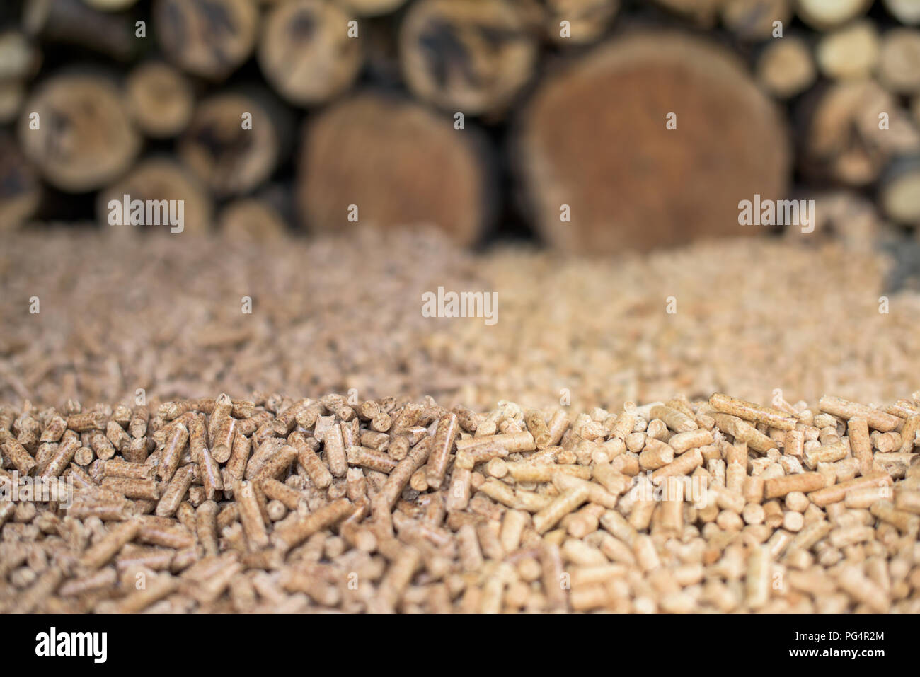 Pile of Oak and pine pellets in front of pile of wood Stock Photo