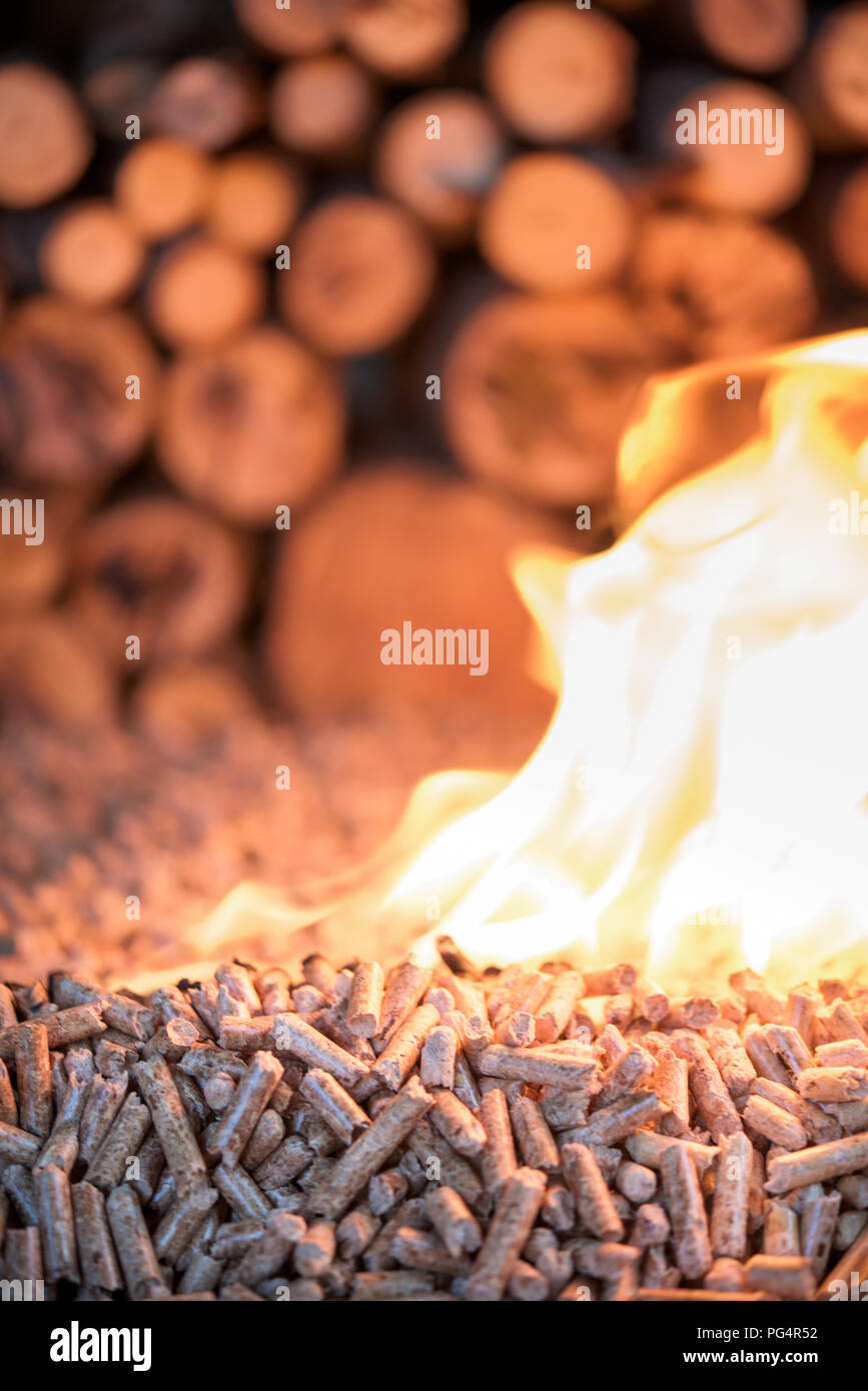 Home heathing - wooden pellets in fire in front pile of wood Stock Photo