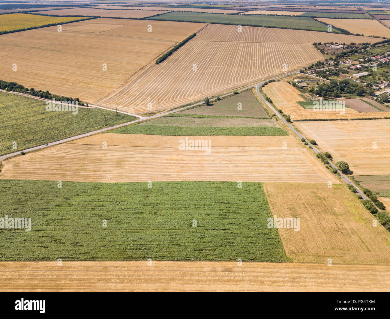 Aerial top view from drone to sunflower and wheat fields at summer time ...