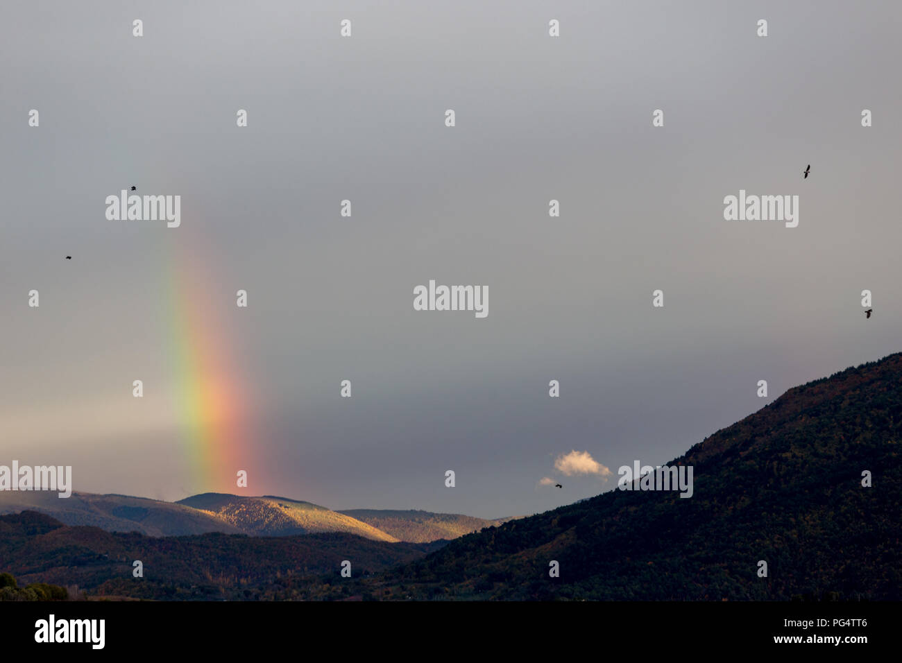 Beautiful and surreal view of part of a rainbow over some hills with birds flying Stock Photo