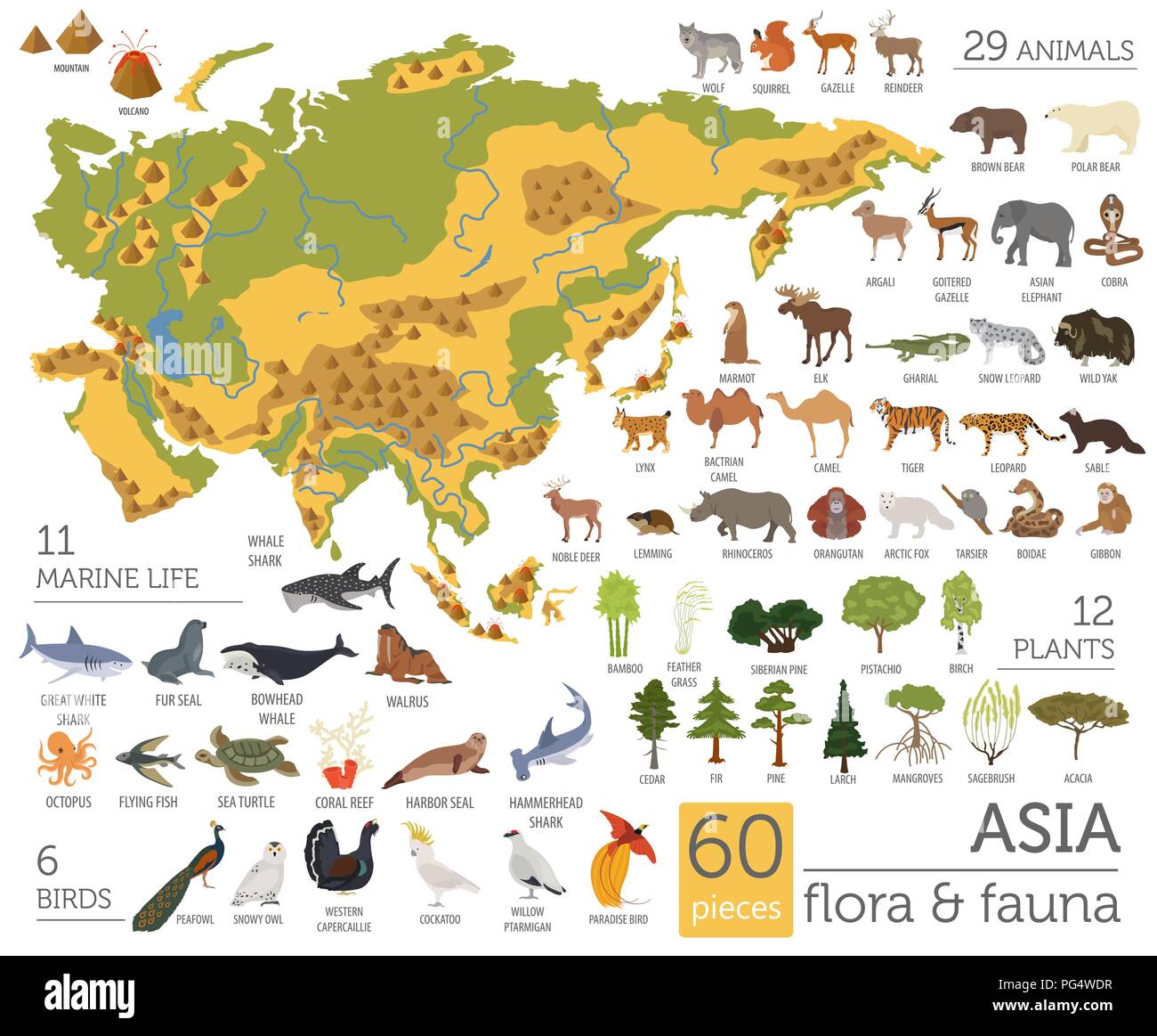 Flat Asian Flora And Fauna Map Constructor Elements Animals Birds And Sea Life Isolated On White Big Set Build Your Own Geography Infographics Coll PG4WDR 