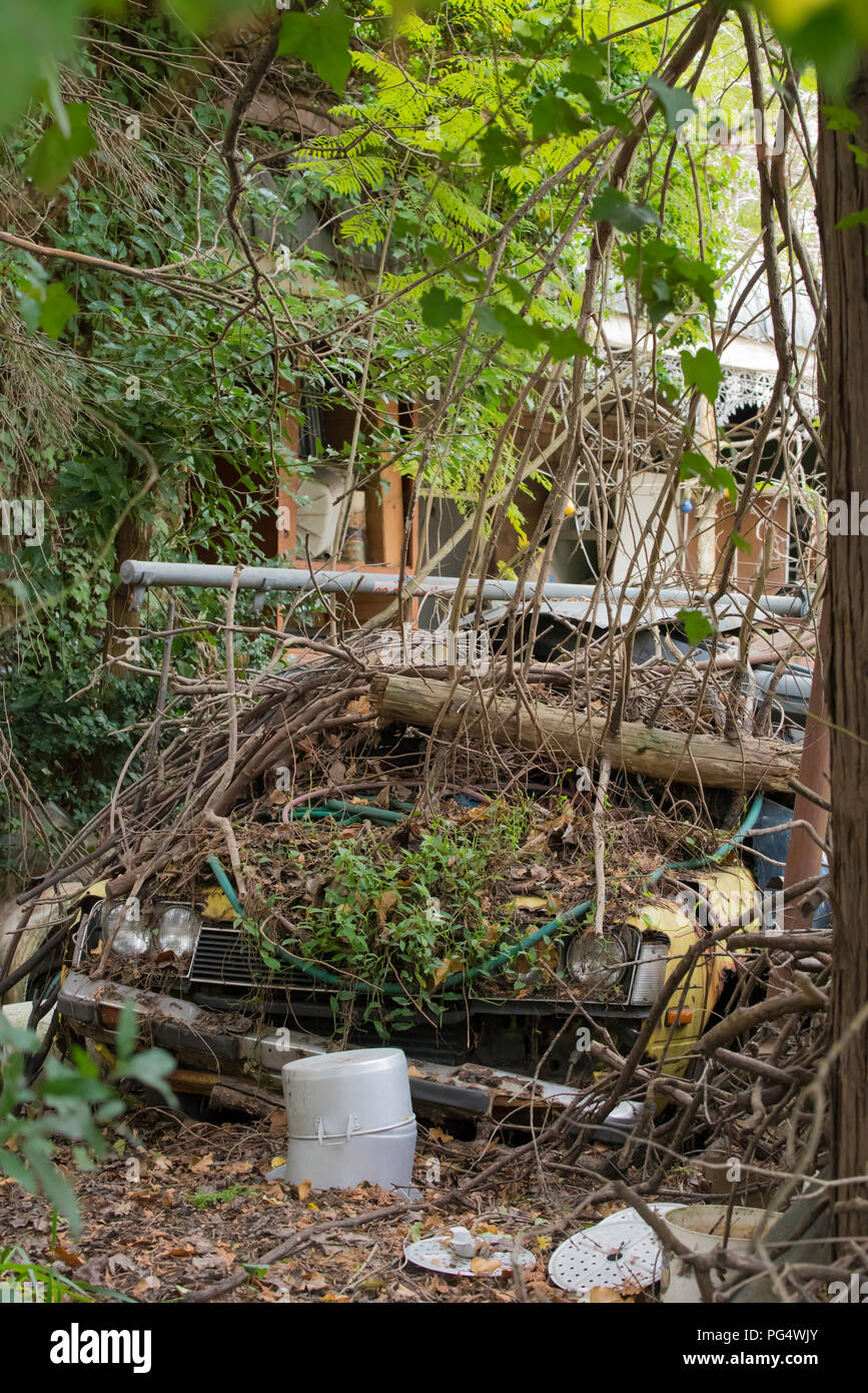 An old Holden Gemini car buried in the front yard of a Federation home  under rubbish and overgrown plants in Hornsby New South Wales, Australia Stock Photo