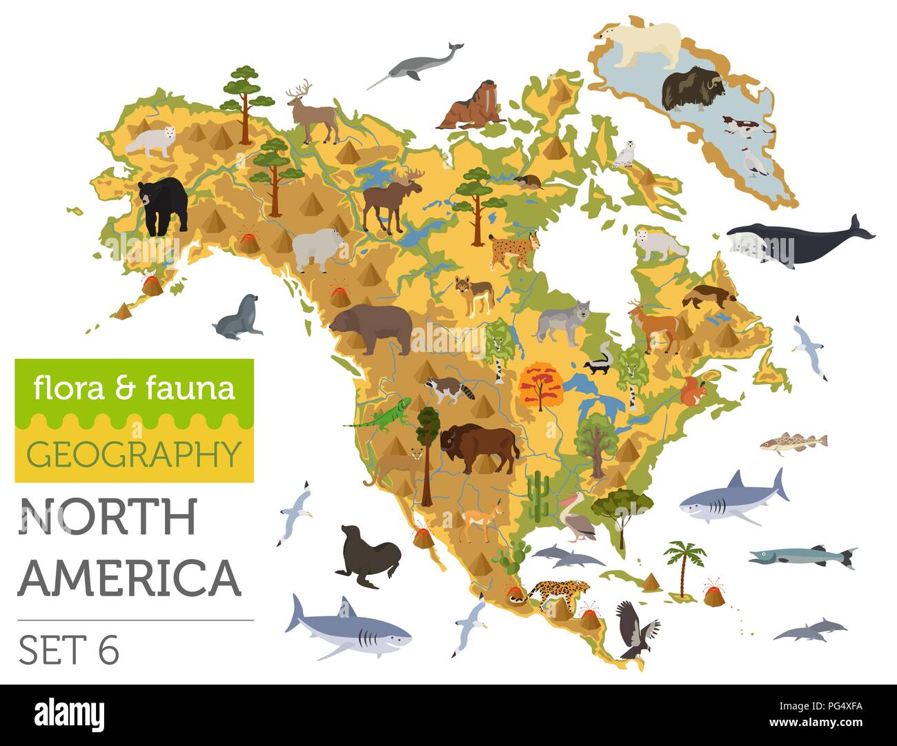 North America flora and fauna map, flat elements. Animals, birds and sea life big set. Build your geography infographics collection. Vector illustrati Stock Vector