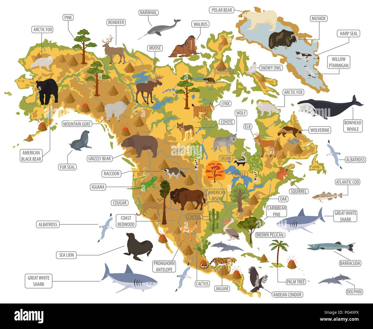 North America flora and fauna map, flat elements. Animals, birds and sea life big set. Build your geography infographics collection. Vector illustrati Stock Vector