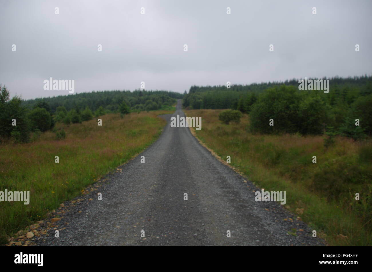 Kielder Forest. John o' groats (Duncansby head) to lands end. End to