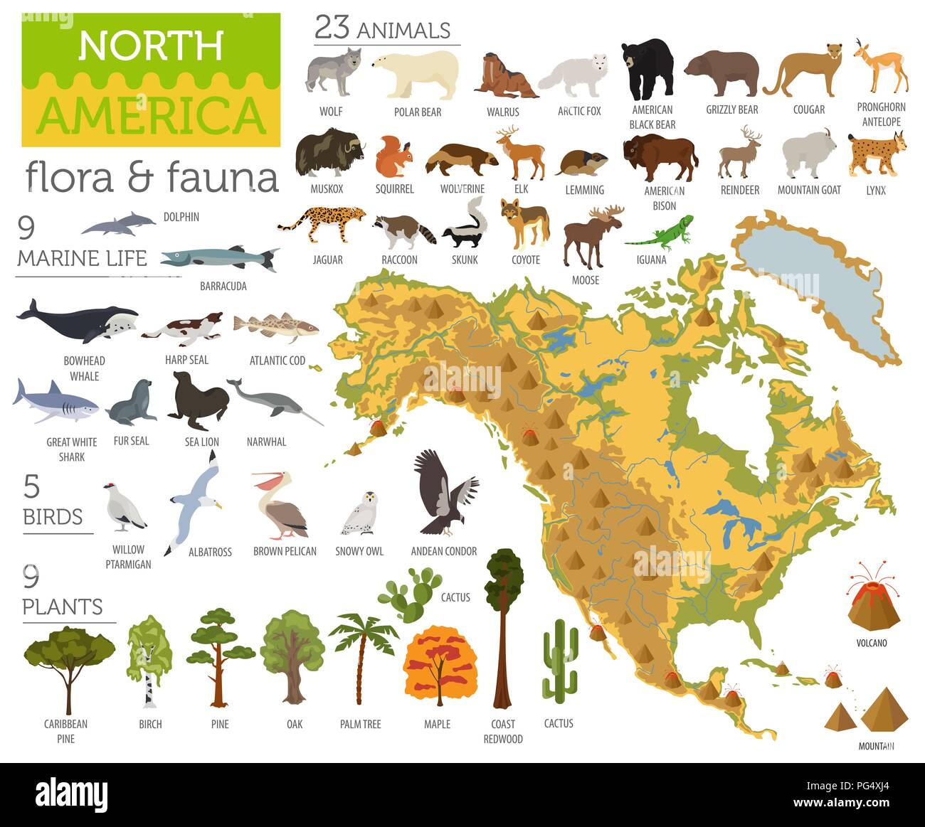 North America flora and fauna map, flat elements. Animals, birds and sea life big set. Build your geography infographics collection. Vector illustrati Stock Vector