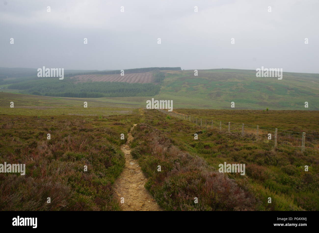Kielder Forest. John o' groats (Duncansby head) to lands end. End to