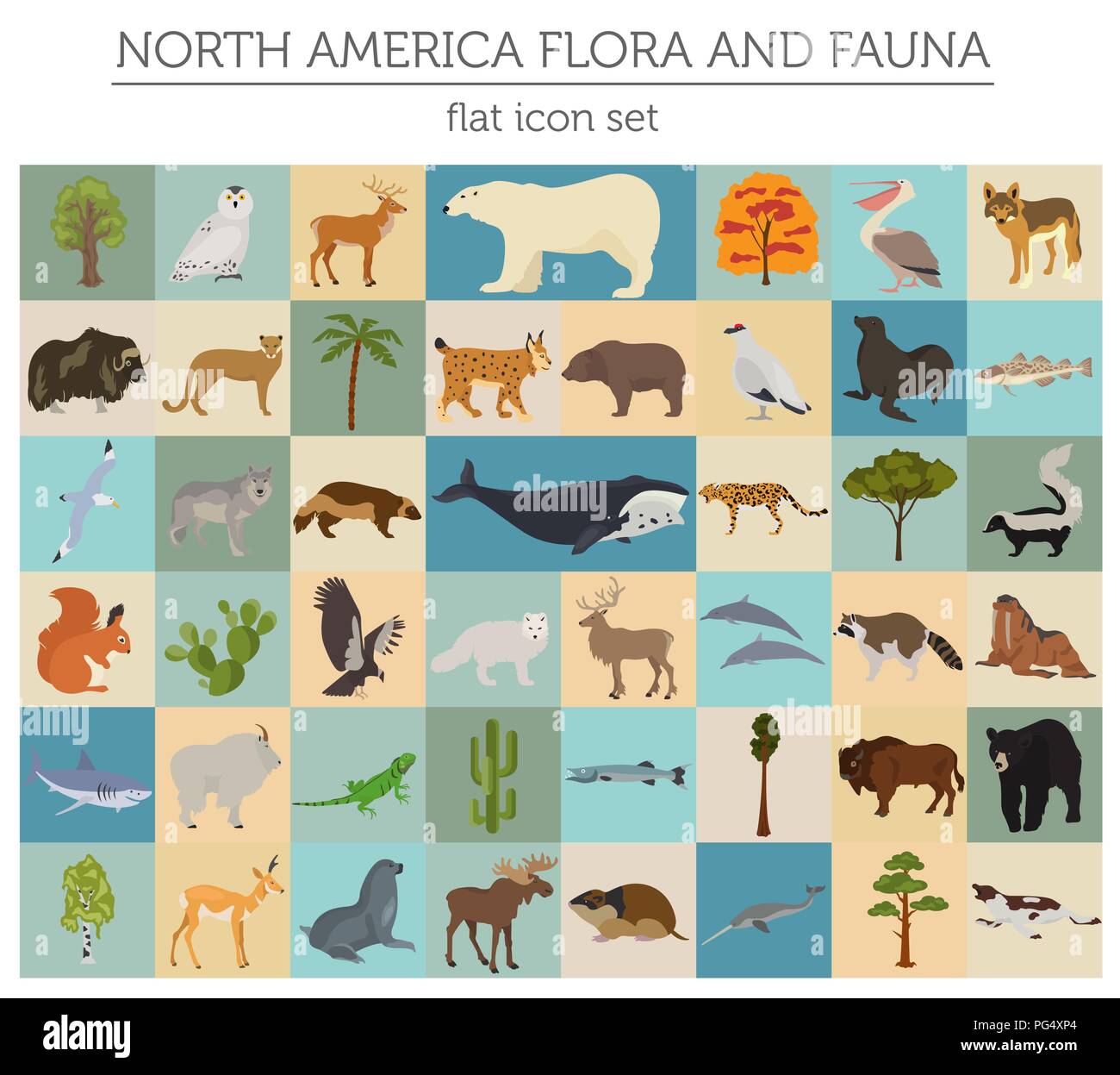 North America flora and fauna flat elements. Animals, birds and sea life big set. Build your geography infographics collection. Vector illustration Stock Vector