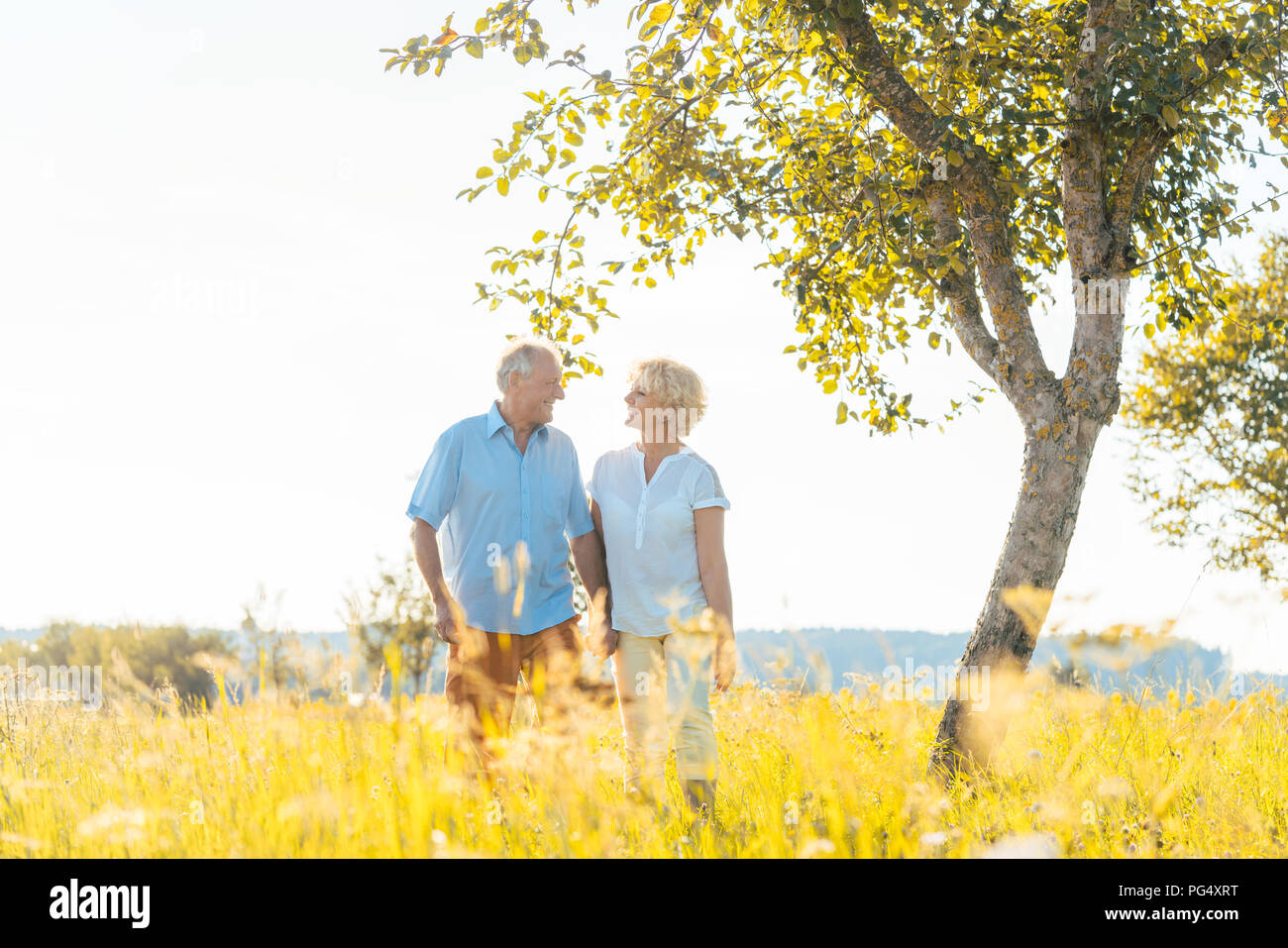 Old couple holding hands walking hi-res stock photography and images ...