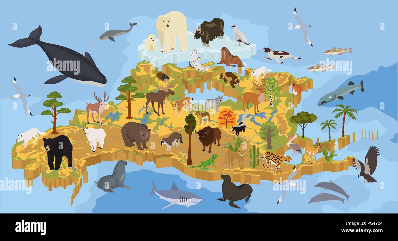 Isometric 3d North America flora and fauna map elements. Animals, birds and sea life. Build your own geography infographics collection. Vector illustr Stock Vector