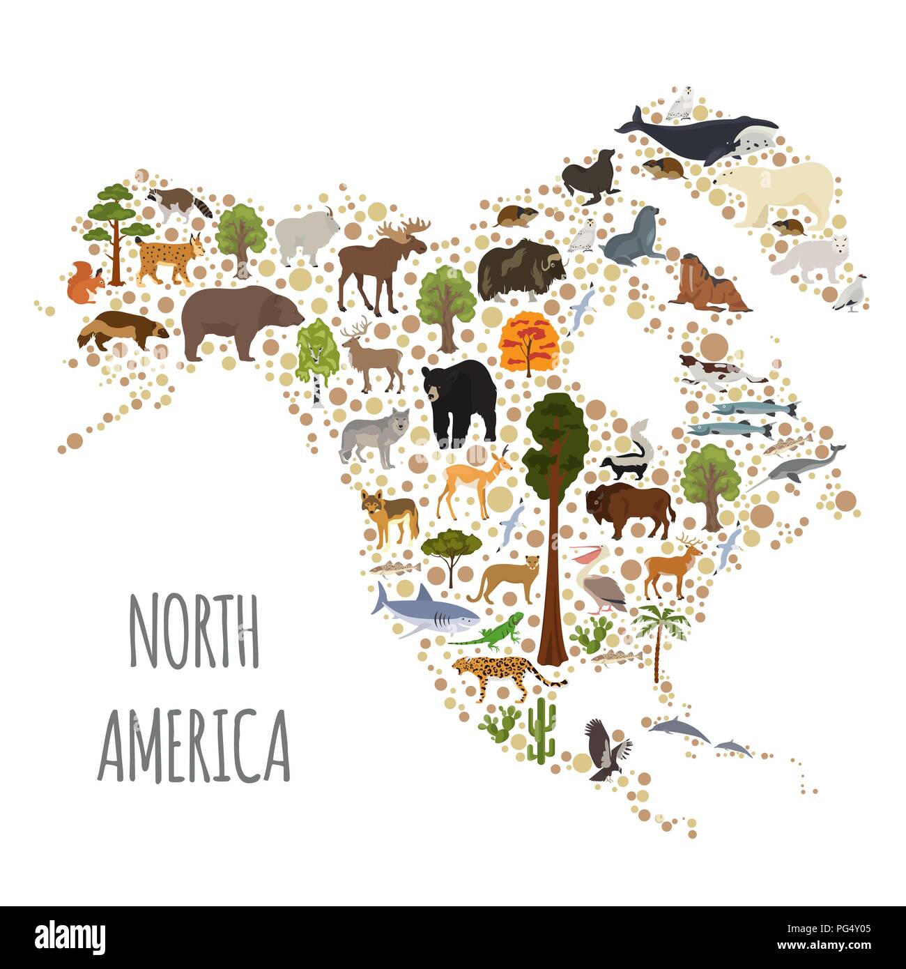 North America flora and fauna map, flat elements. Animals, birds and sea life big set. Build your geography infographics collection. Vector illustrati Stock Vector