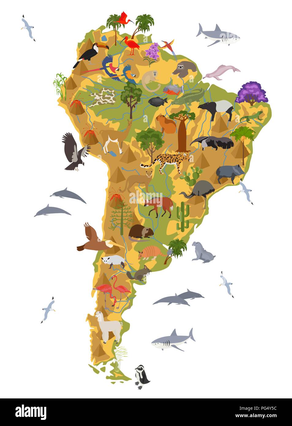 South America flora and fauna map, flat elements. Animals, birds and sea life big set. Build your geography infographics collection. Vector illustrati Stock Vector