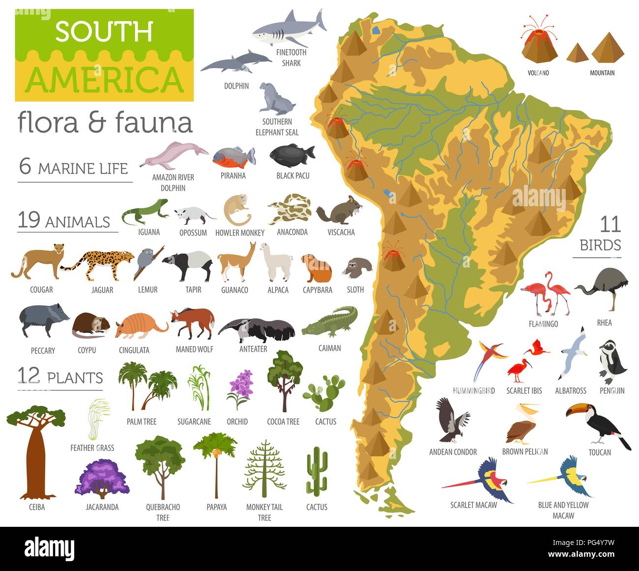 South America flora and fauna map, flat elements. Animals, birds and sea  life big set. Build your geography infographics collection. Vector  illustrati Stock Vector Image & Art - Alamy