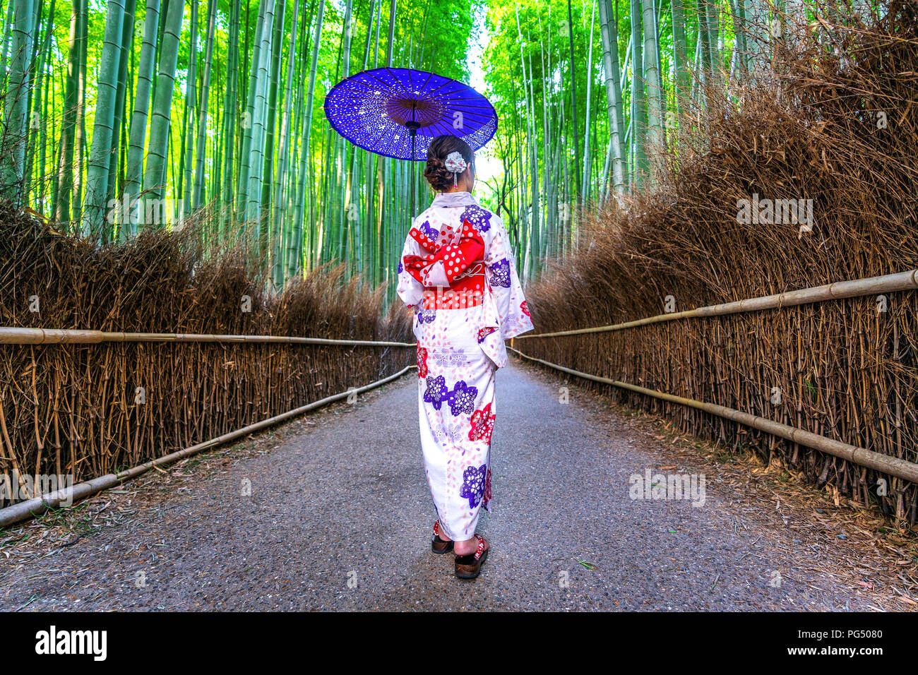 Bamboo Forest. Asian woman wearing japanese traditional kimono at Bamboo Forest in Kyoto, Japan. Stock Photo