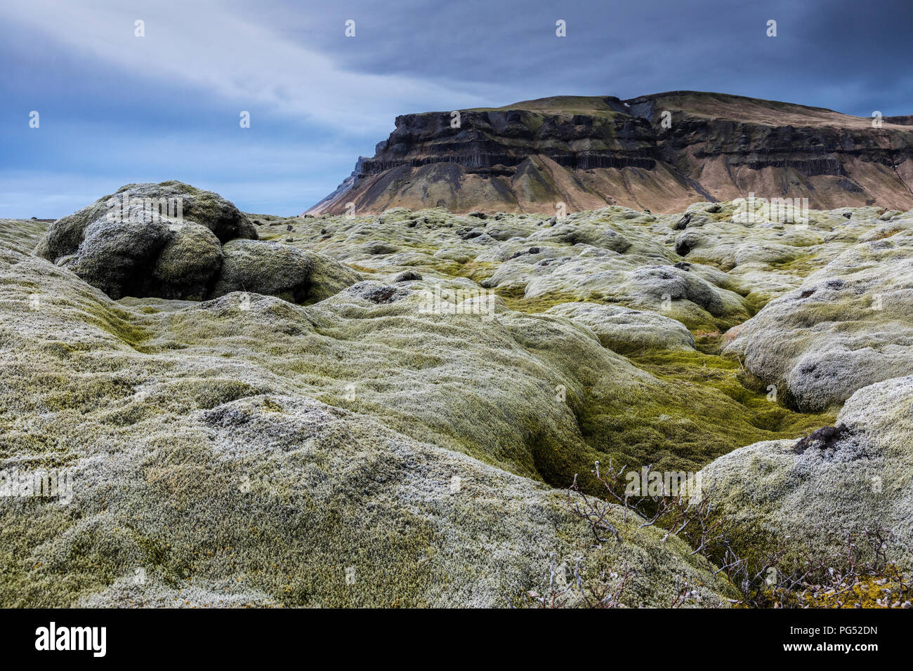 Iceland moss covered lava field at cloudy day Stock Photo