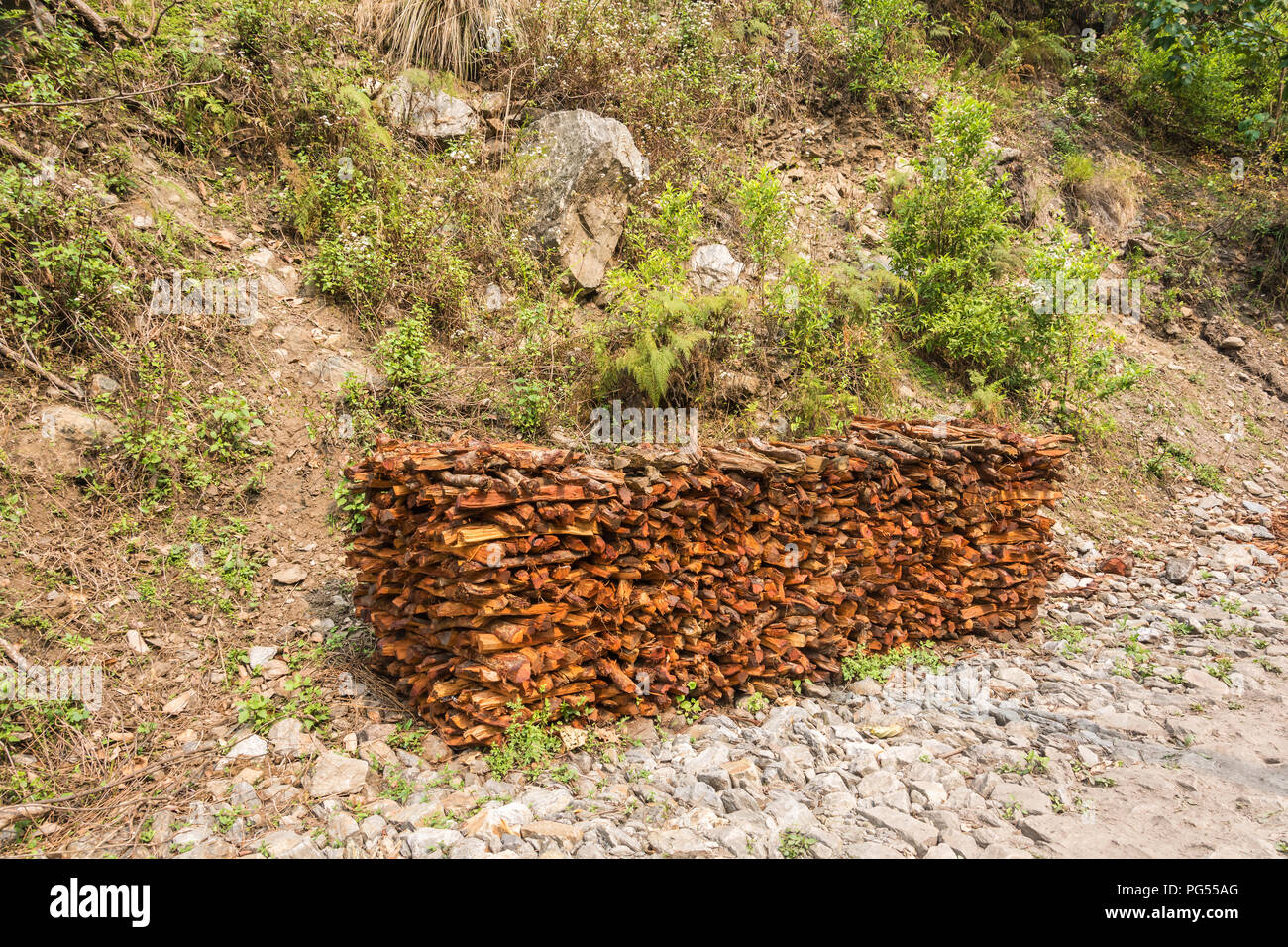 A big pile of firewood on the background of rocks and green grass and ...