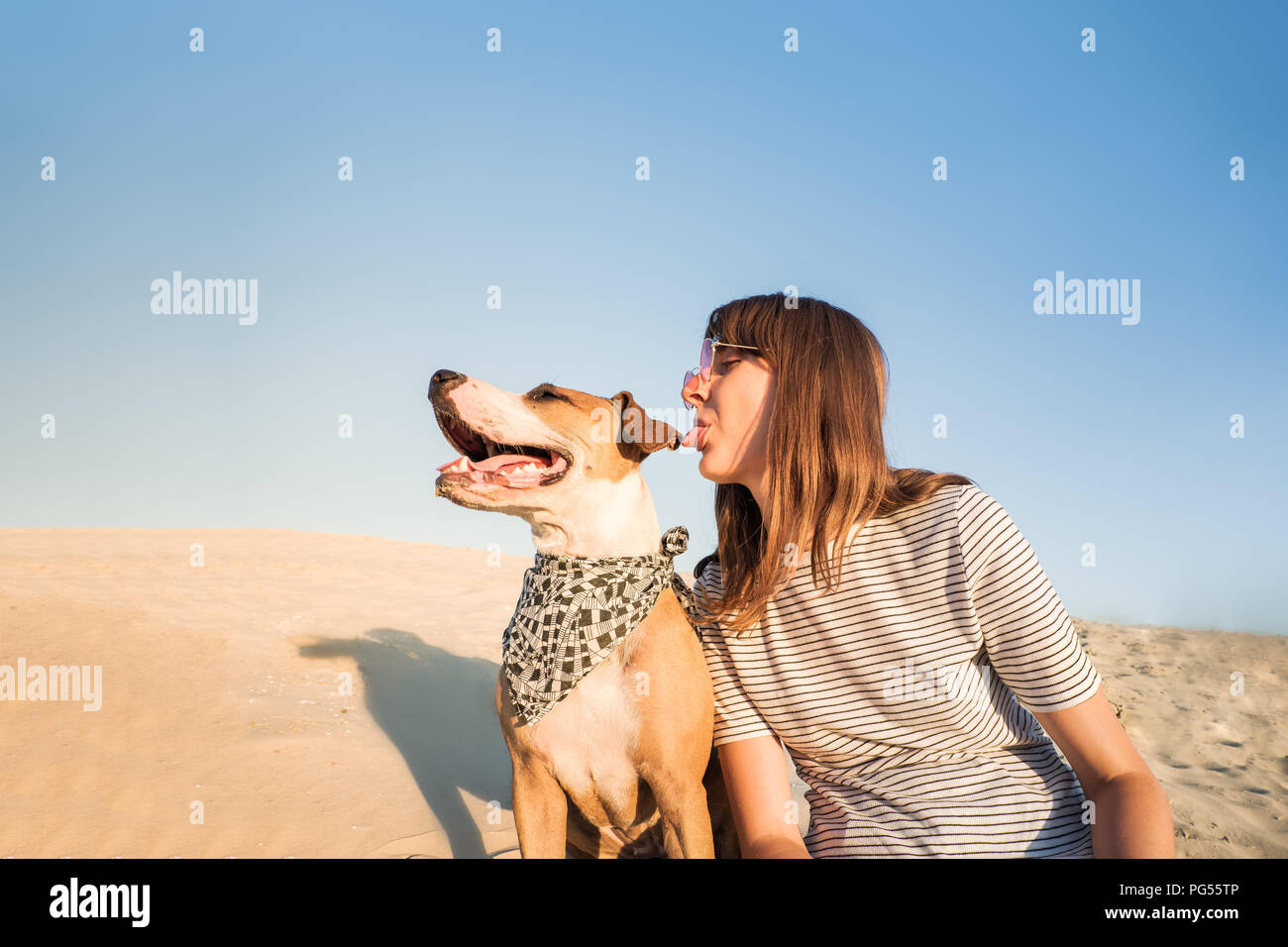 Dog and human make fun, posing as best friends. Funny female person and staffordshire terrier puppy sit on sand on hot summer day Stock Photo