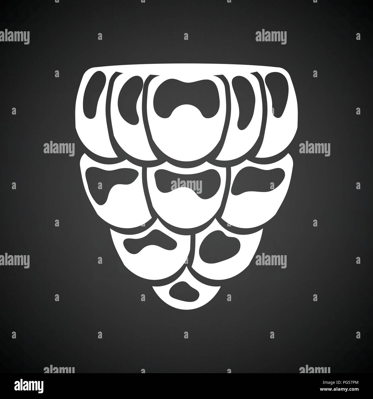 Icon of Raspberry. Black background with white. Vector illustration