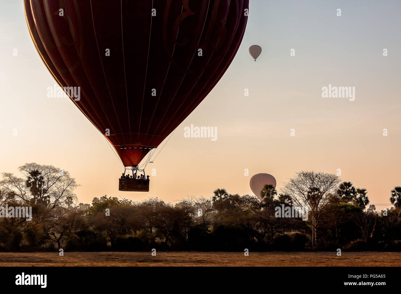 Hot air balloons over plain of Bagan in misty morning, Myanmar Stock Photo