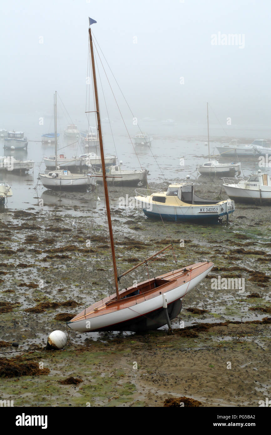 Sailing boat moored at low tide in marina at Quai Charles de Gaulle, Roscoff, Finistere, Brittany, France Stock Photo