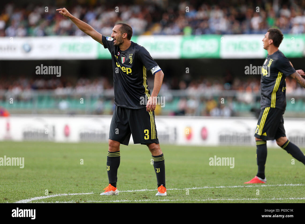 Giorgio Chiellini of Juventus FC gestures during the Serie A football match between Ac Chievo Verona and Juventus Fc. Stock Photo