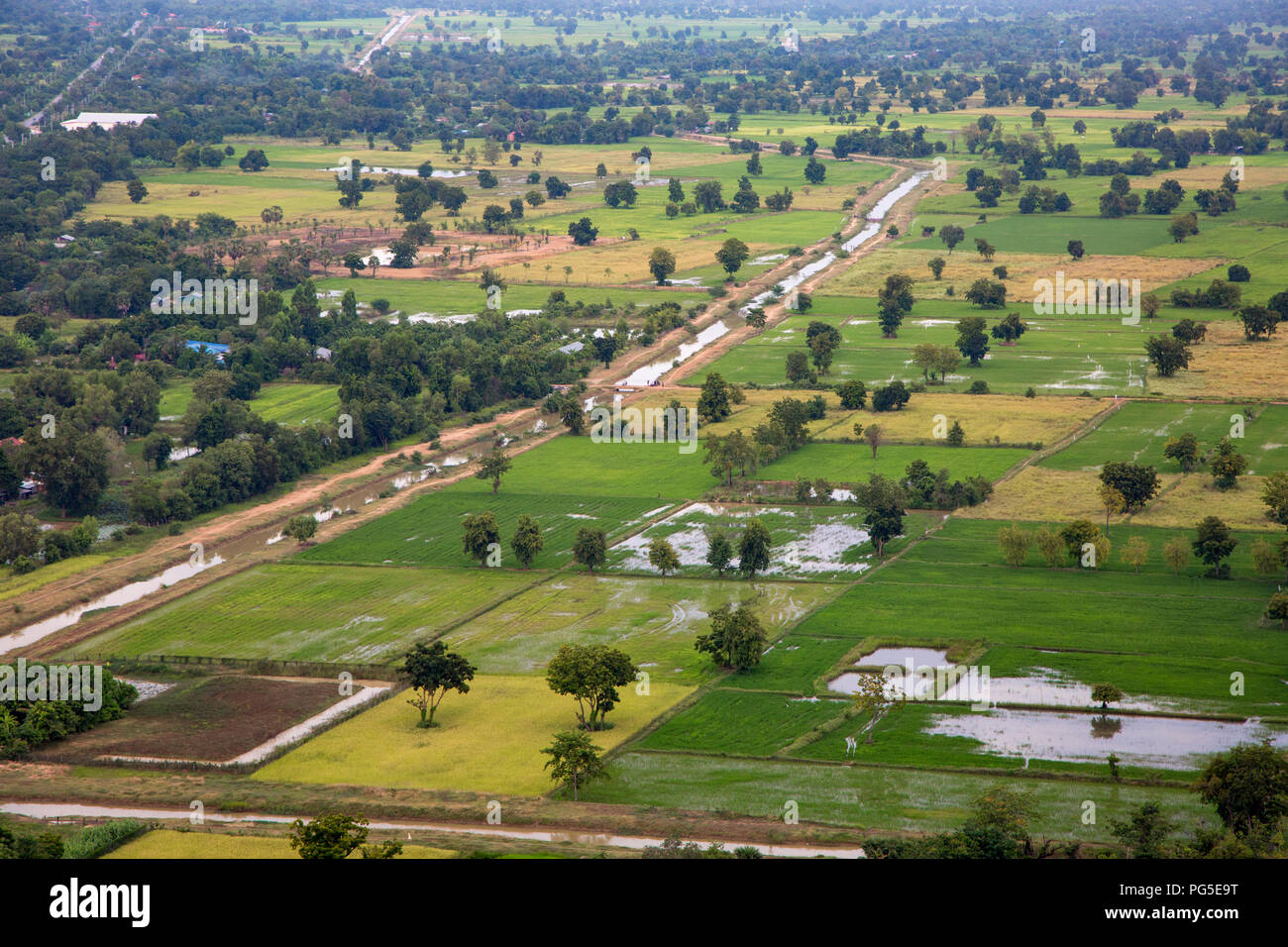 Farming landscape with rice paddy, fields and trees near Battambang, Cambodia Stock Photo