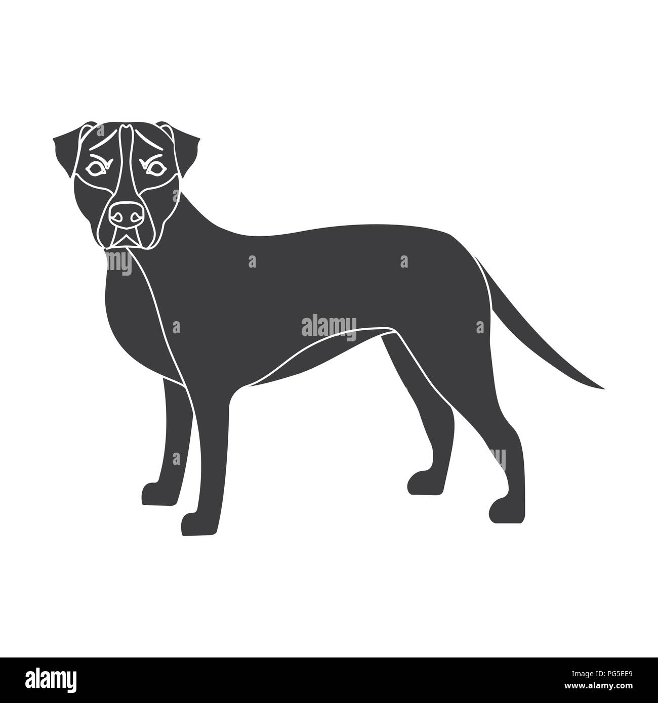 Labrador, single icon in black style.Labrador, vector symbol stock ...