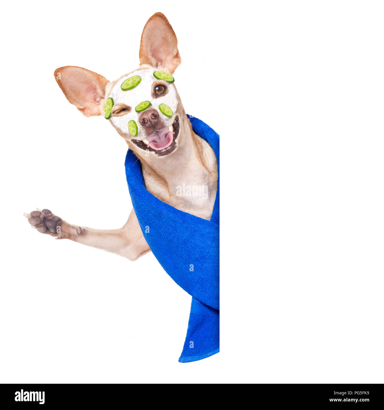 moisturizing cream for dogs