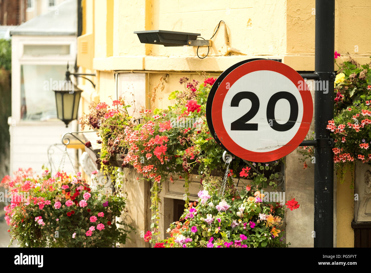 A 20mph British road sign attached to a street lamp on a city street. The sign is next to a residential property decorated with  hanging baskets Stock Photo