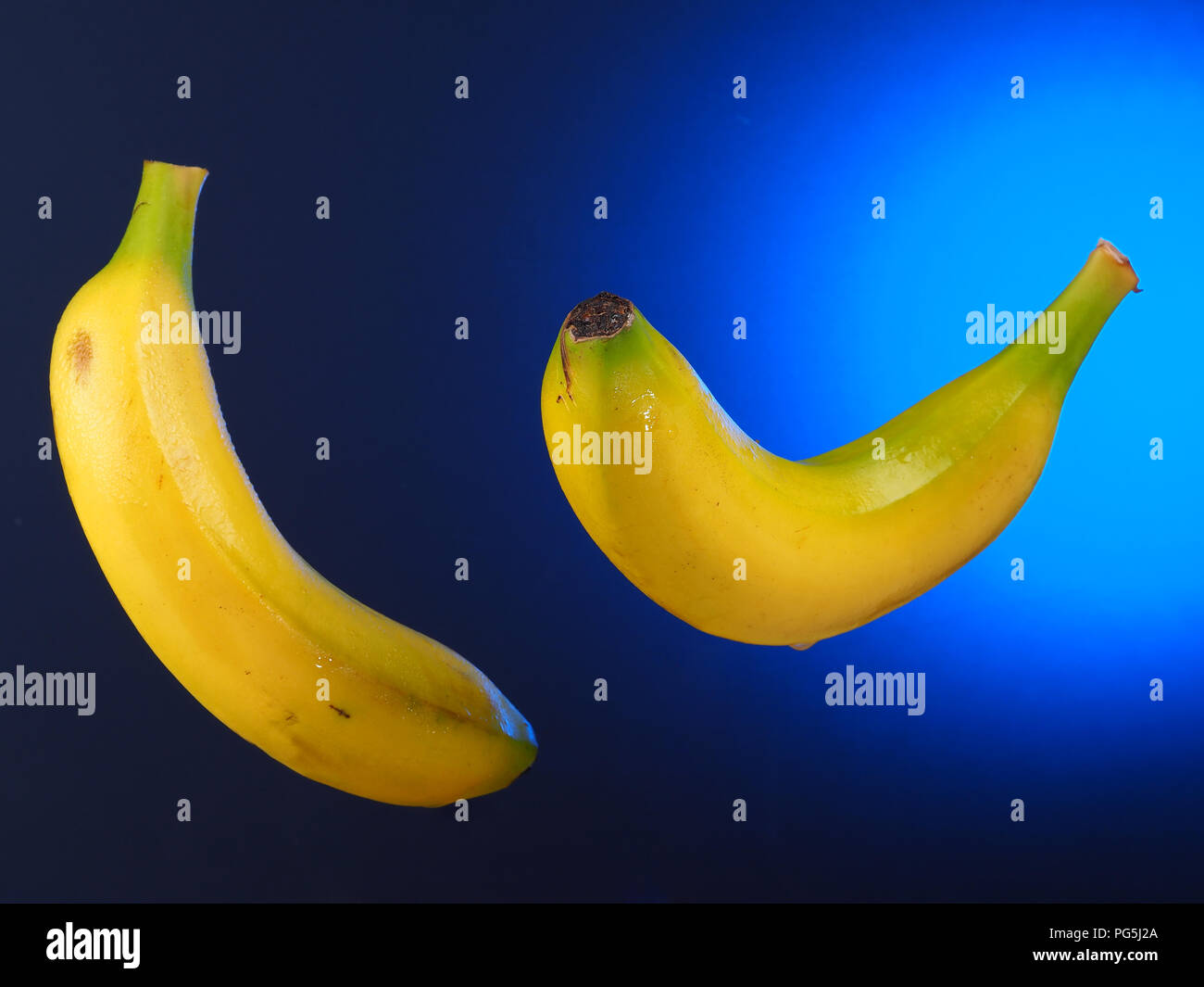 BANANA – PLATANO Bananas suspended in the air. Blue gradient background. Stock Photo