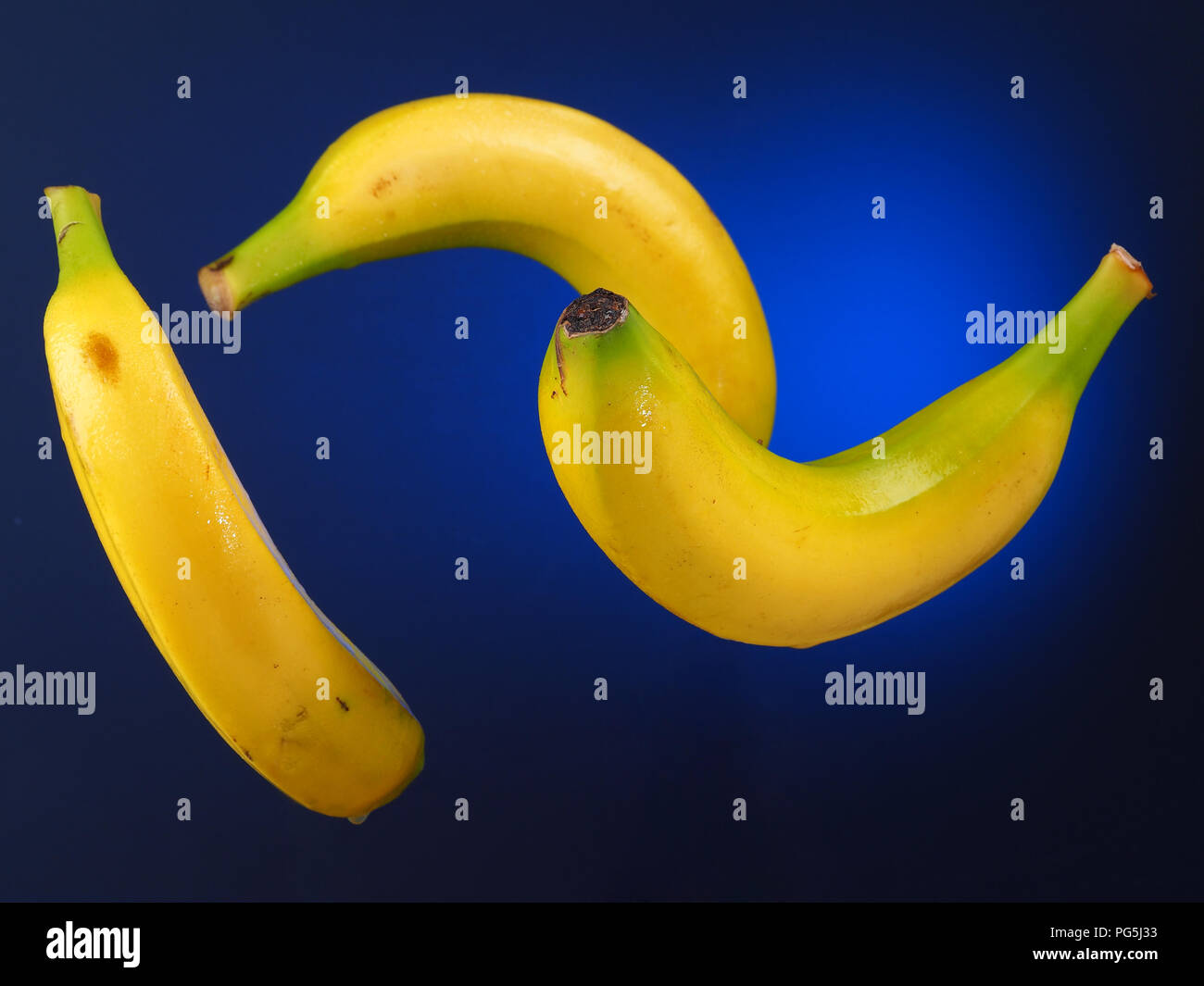 BANANA – PLATANO Bananas suspended in the air. Blue gradient background. Stock Photo