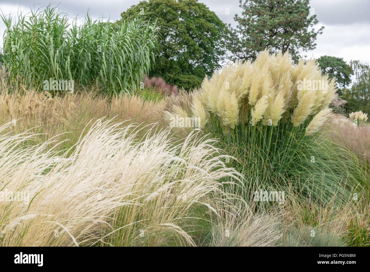 Grass Garden, Kew Gardens, London Stock Photo