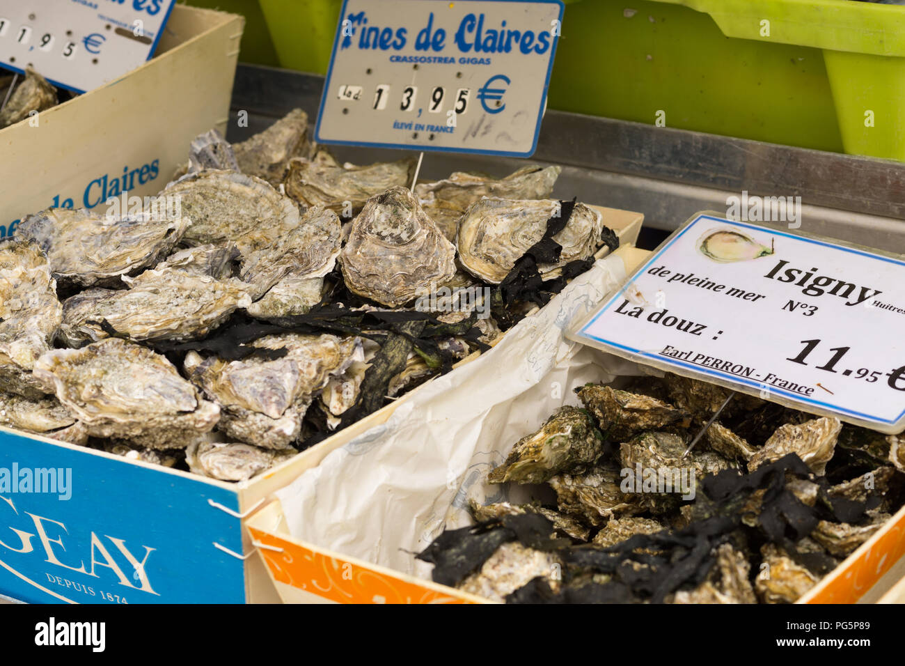 Oysters market France - Close up of oysters sold on a Paris market, France, Europe. Stock Photo