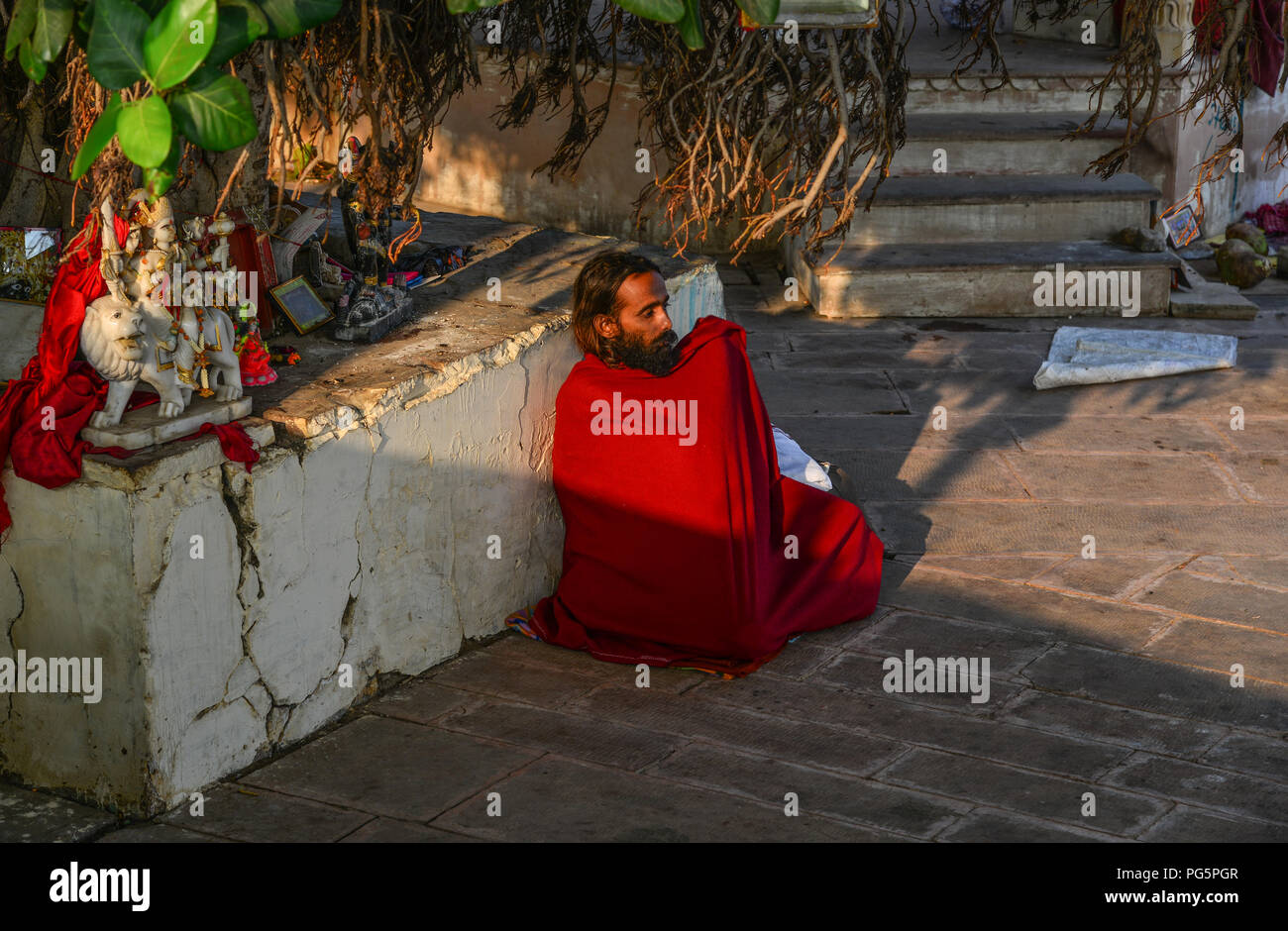 Pushkar, India - Nov 5, 2017. A meditating Sadhu under Bodhi Tree in Pushkar, India. Pushkar is only 11km from Ajmer separated from it by rugged Nag P Stock Photo