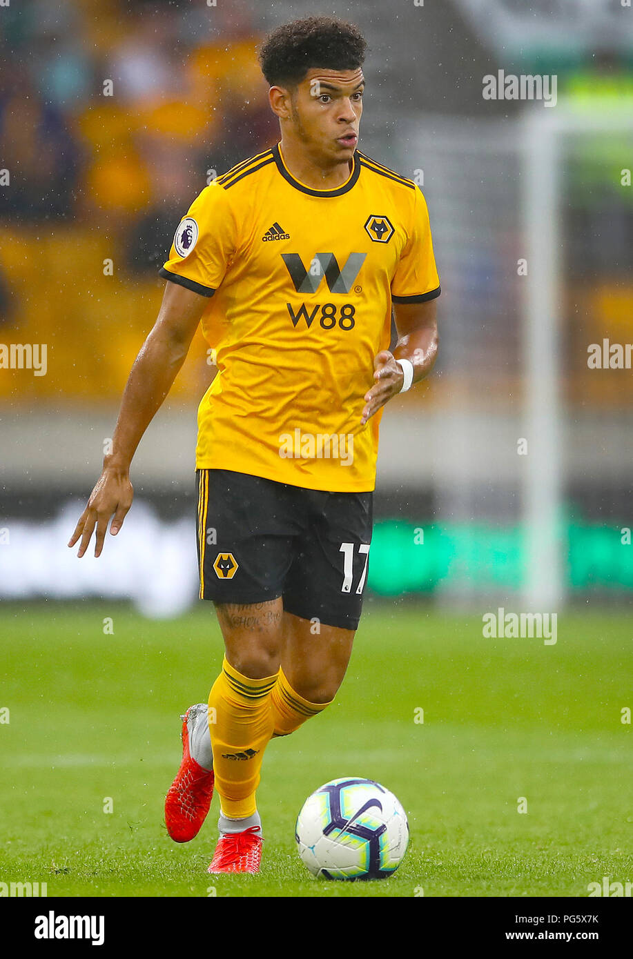 Wolverhampton Wanderers' GibbsWhite Stock Photo Alamy