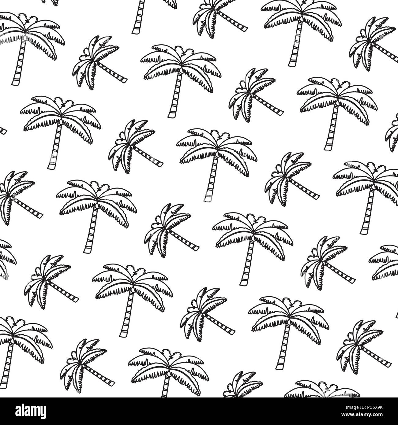 line tropical palm nature tree background Stock Vector