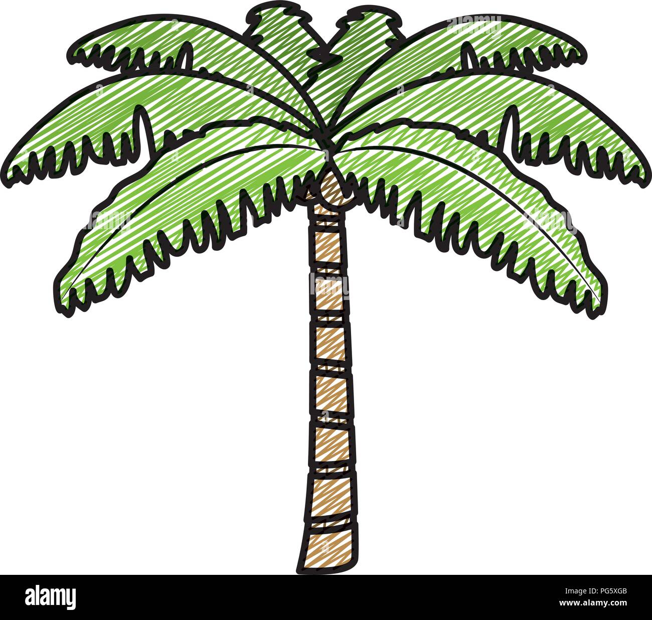 doodle tropical palm nature tree style Stock Vector