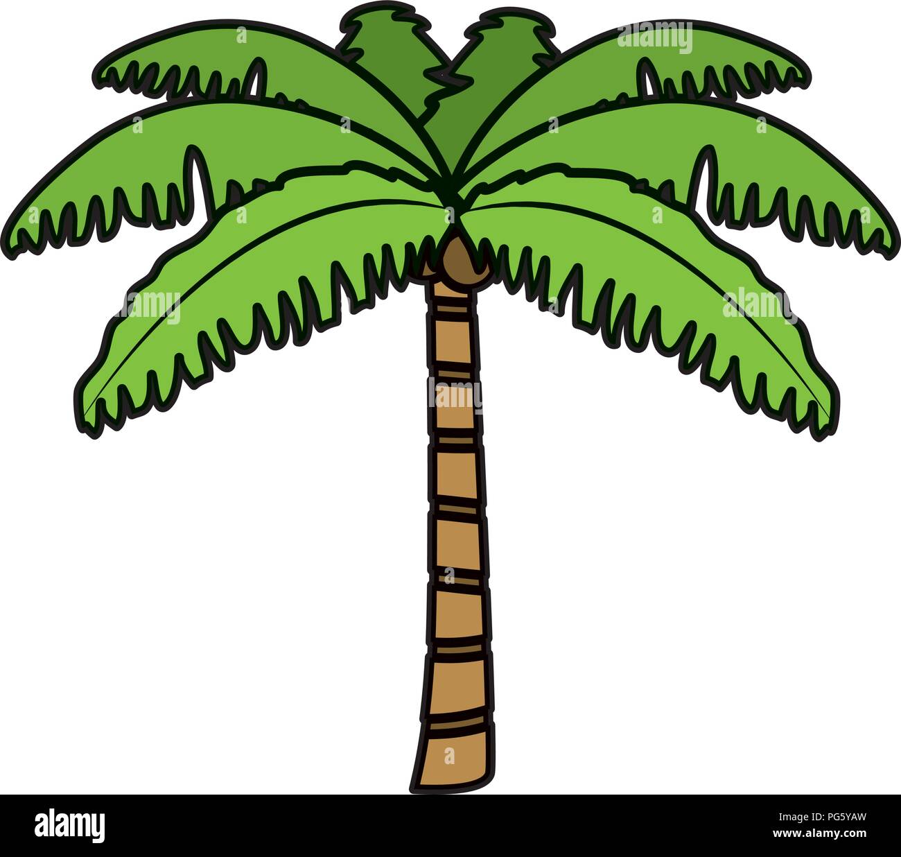 color tropical palm nature tree style Stock Vector